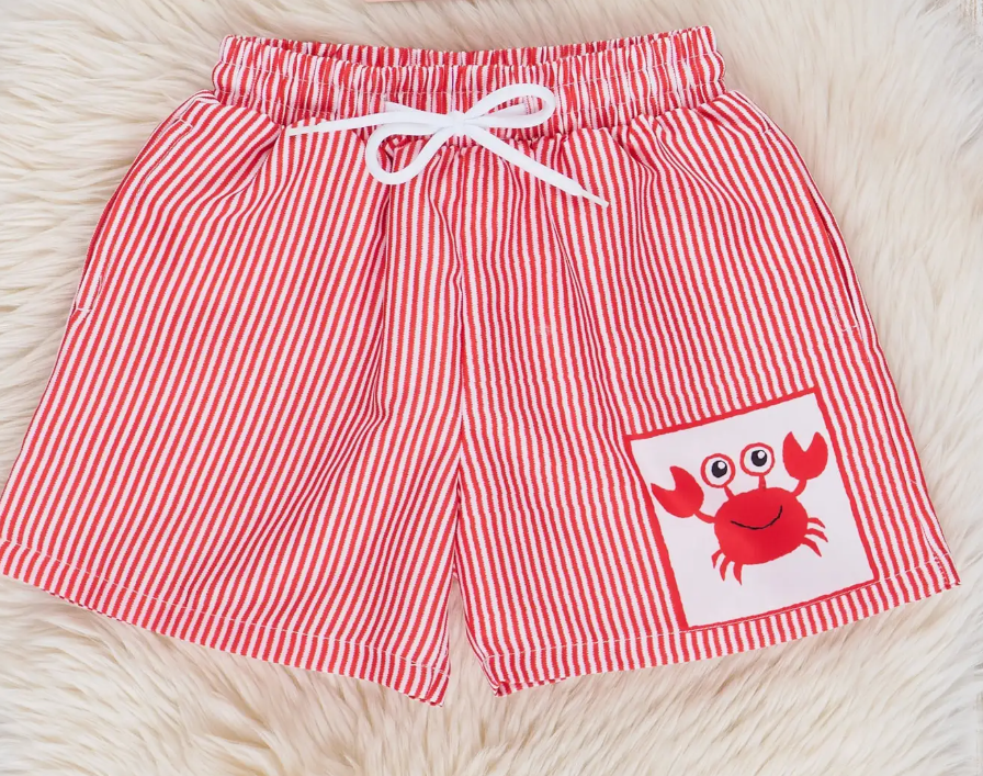 Boy swim trunks