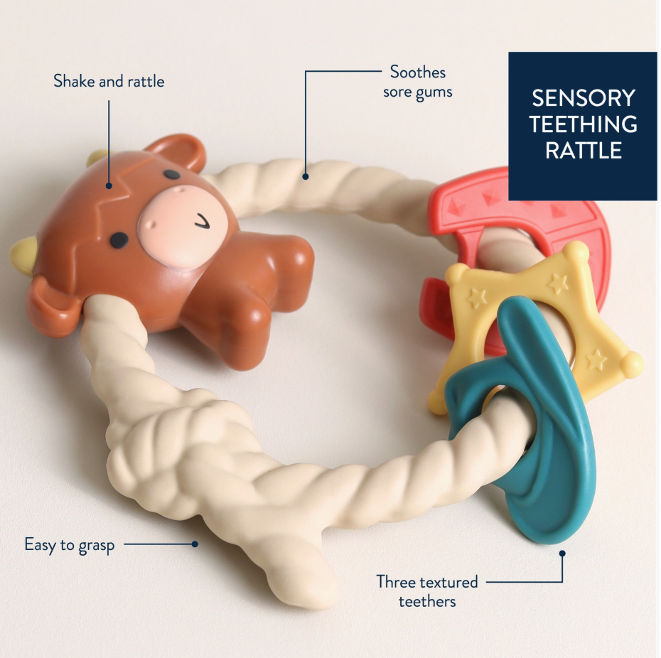 Silicone Teether Rattles